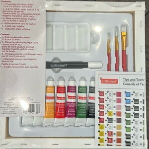 Craft Smart Acrylic Paint Set with Brushes  NWT